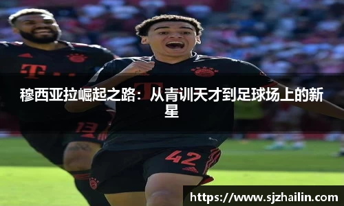 jn江南体育
